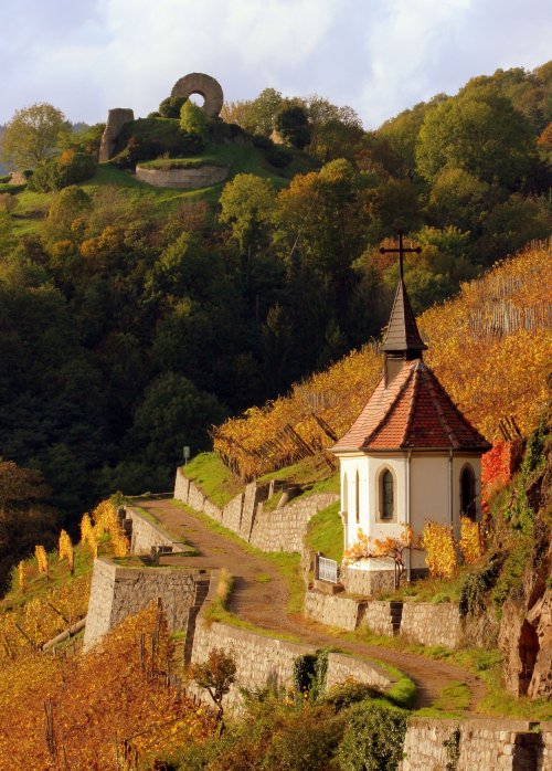 Domaine Zind Humbrecht